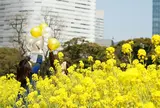 浜離宮恩賜庭園