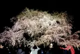 六義園