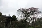 光円寺