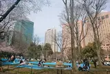 新宿中央公園