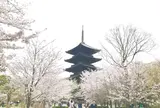 東寺（教王護国寺）