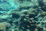 沖縄美ら海水族館