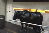 炭焼喰人