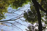 代々木公園