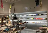swimmie 銀座店