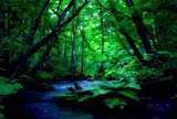 奥入瀬渓流