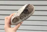わたほろ製パン店