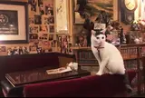 カフェアルル