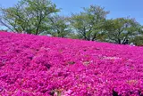 新荒川大橋野球場