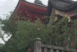 清水寺2日目