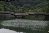 薬師池公園
