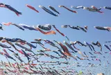 高槻市鯉のぼりフェスタ