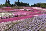 羊山公園