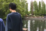 井の頭恩賜公園