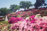 西山公園