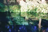 白川水源