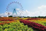海の中道海浜公園
