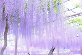曼陀羅寺公園