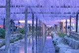 天王川公園