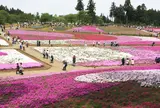 羊山公園