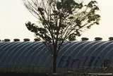 新豊洲Brilliaランニングスタジアム