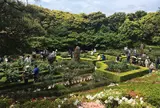 旧古河庭園洋風庭園