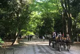 糺ノ森