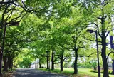 大井埠頭海浜公園