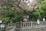 八雲神社