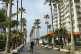 逗子マリーナ