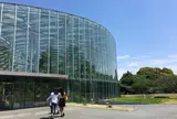 新宿御苑大温室