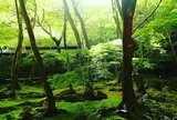 祇王寺