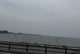 逗子海岸