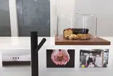Ki/マメトラ菓子店