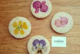 cotito ハナトオカシト