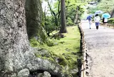 兼六園