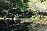 山吹水源