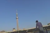 隅田川