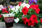 ゴリラ コーヒー エソラ池袋店
