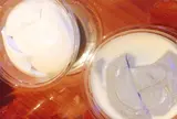 豊島豆腐店