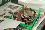 【閉店】魚浅