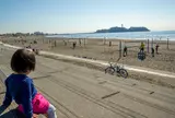 鵠沼海岸