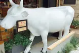 & CHEESE STAND