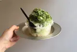 目黒ひいらぎ