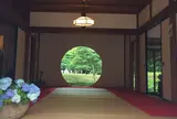 明月院（あじさい寺）