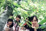 原田農園