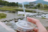 鴨川デルタ