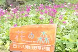 花の森四十八滝山野草花園