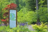 県立自然公園宇津江四十八滝