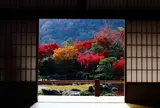 天龍寺